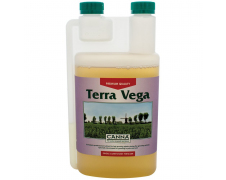 Canna terra