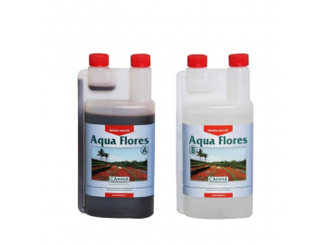 canna-aqua-flores-ab