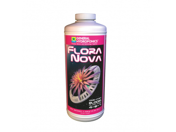 floranova_bloom946