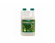 canna-cure33333