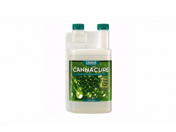 canna-cure33333