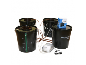 AquaPotTrio