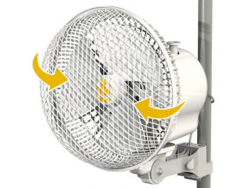 Fan20