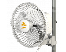 Monkey Fan,16