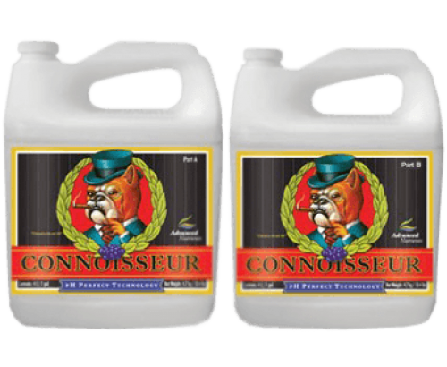 AN pH Perfect Connoisseur Bloom А+В 0,5л