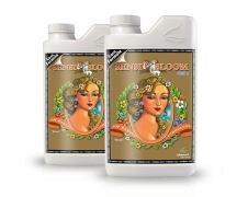 Удобрение AN Sensi Coco Bloom A & B 1л
