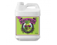 BigBud1l