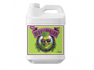 BigBud1l