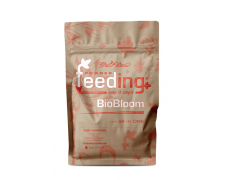 pfbiobloom05-1