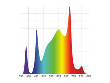 Nyota Neutron 800 Вт — диаграмма света