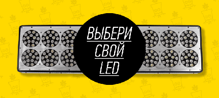 leds